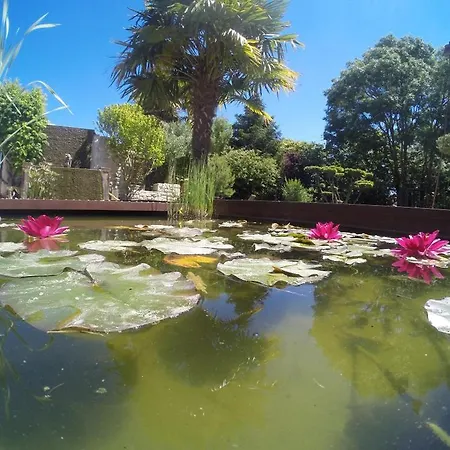 Bed & Breakfast D'hotes Sweet