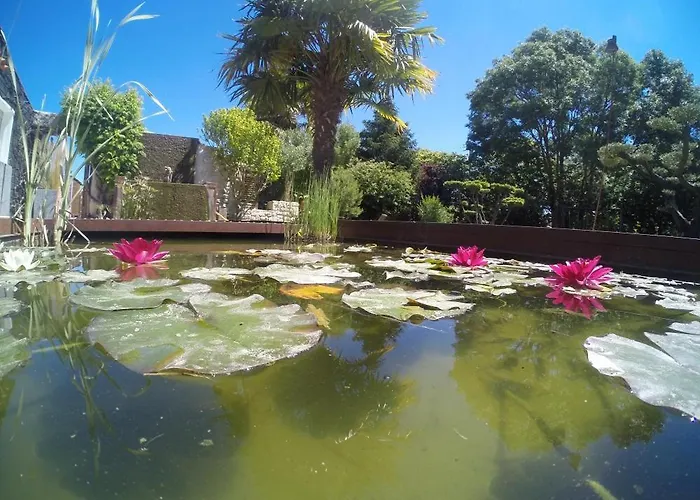 Bed and breakfast D'hotes Sweet